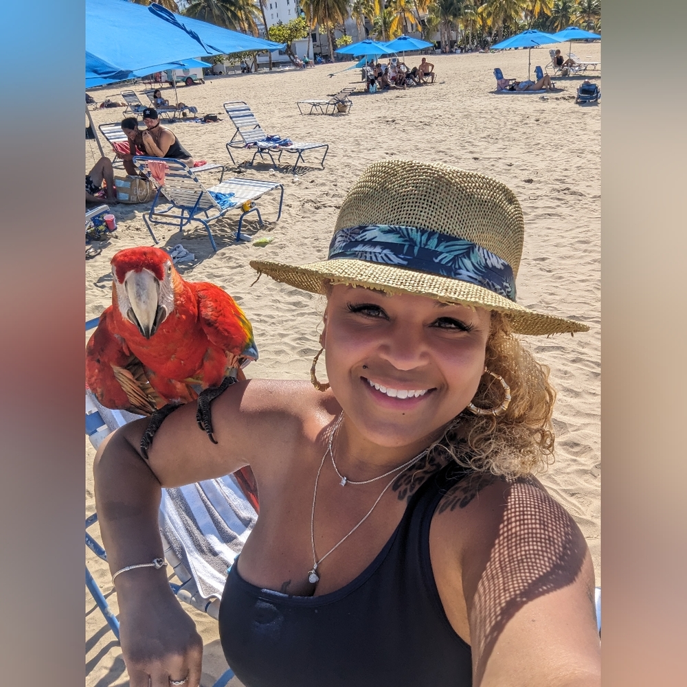 Meet your Posher, Daisy